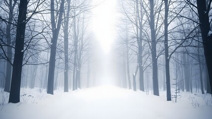 Fototapeta premium Serene winter forest landscape with snow covered trees and sunbeam
