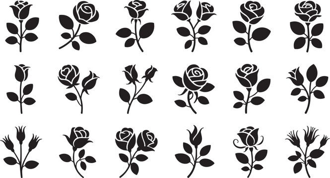 Black Rose Silhouettes on White Background