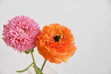 マムとラナンキュラス