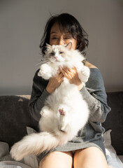 Blue-Eyed Ragdoll Cat Portrait with Woman in Soft Focus Background Showcasing Pet Beauty