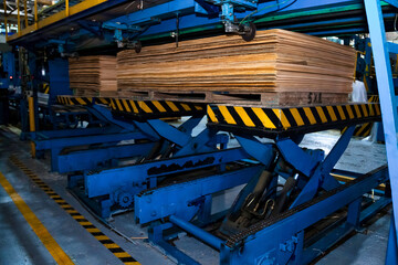 Stockwood treatment on automatic machinery in manufacture plant, woodwork in mill. Wood logs treatment process of plywood in industrial factory. Woodwork plywood industry concept. Copy ad text space