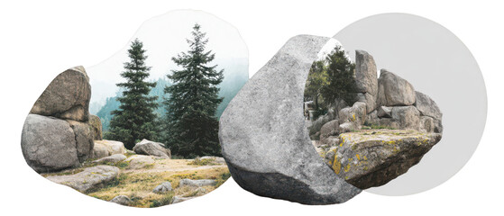 Misty forest rock collage transparent shadow overlay nature tranquility