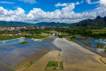 Aerial view of reflective rice fields stretching toward the town of Vang Vieng, Laos, with dramatic limestone mountains and lush greenery under a vivid blue sky. The wet season landscape features