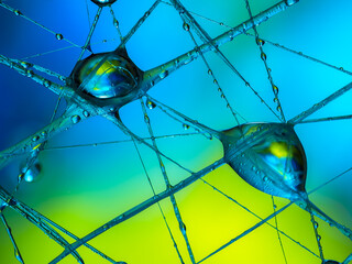 Water drops on an artificial spiderweb. Dynamic colorful background, abstract patterns and shapes. Macro still life photography