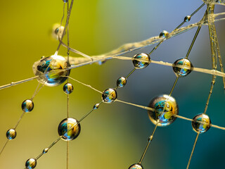 Water drops on an artificial spiderweb. Dynamic colorful background, abstract patterns and shapes. Macro still life photography