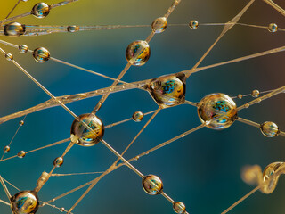 Water drops on an artificial spiderweb. Dynamic colorful background, abstract patterns and shapes. Macro still life photography