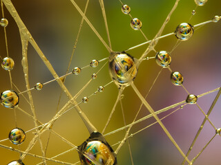 Water drops on an artificial spiderweb. Dynamic colorful background, abstract patterns and shapes. Macro still life photography