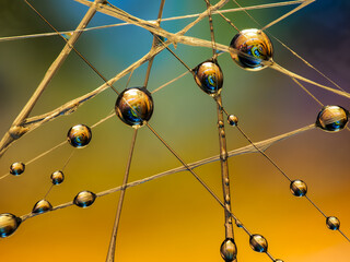 Water drops on an artificial spiderweb. Dynamic colorful background, abstract patterns and shapes. Macro still life photography