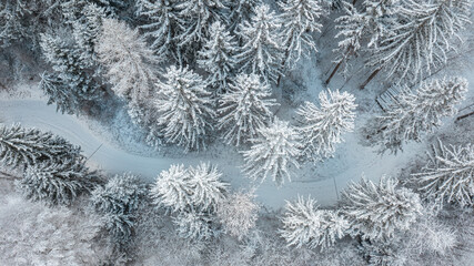 Snowy Forest Path Aerial View