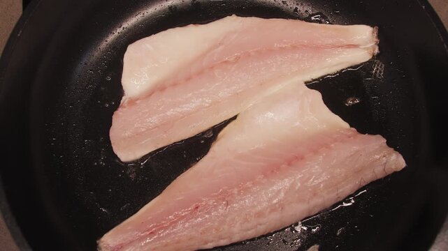 White dorado fillet is fried in a pan with olive oil. Close-up of frying white fish. High quality 4k footage