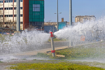 Fototapety na wymiar - Fototapeta24.pl