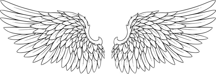 Angelic Wings Divine Symbol Vector Illustration