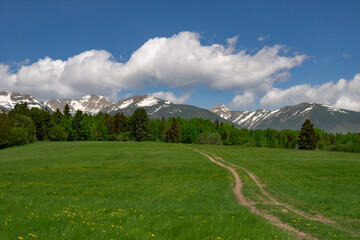 View of a winding dirt path cuts through a vibrant green meadow towards a line of lush trees and snow-capped mountains under a sky filled with fluffy clouds, Liptov, Slovakia.