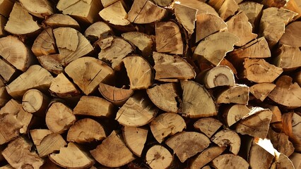 Closeup of a neatly stacked pile of dry, rough-cut firewood with visible wood grain and cracks, bathed in warm, natural sunlight.