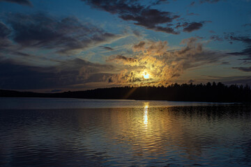 It is Summer in the Arctic 