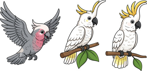 Cute cockatoo and parrot birds vector illustration set with perched and flying poses isolated on white background © Sarmen Creative