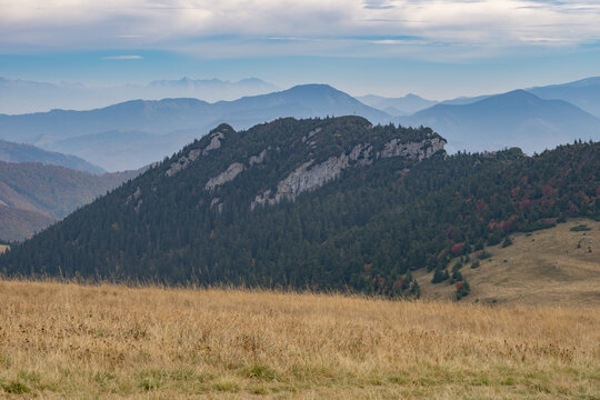View of a striking rocky peak descends into a dense forest, contrasting with the golden grasslands under a soft sky, Velka Fatra, Zilina Region, Slovakia. - Powered by Adobe