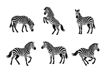 Zebra silhouettes set of 6 on isolated background
