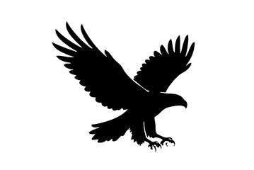 Eagle flying silhouette on white isolated background