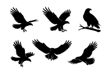 Fototapeta premium Eagle silhouettes on white isolated background