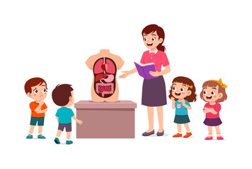 Asian female teacher smiles and explains human anatomy to curious Asian children in a lesson