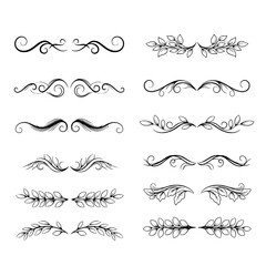 Obraz premium Ornamental Flourishes: An array of elegant, hand-drawn design elements and decorative flourishes, perfect for adding a touch of sophistication to any creative project.