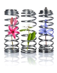 Spring Flowers - A Symbol of Renewal and Resilience.