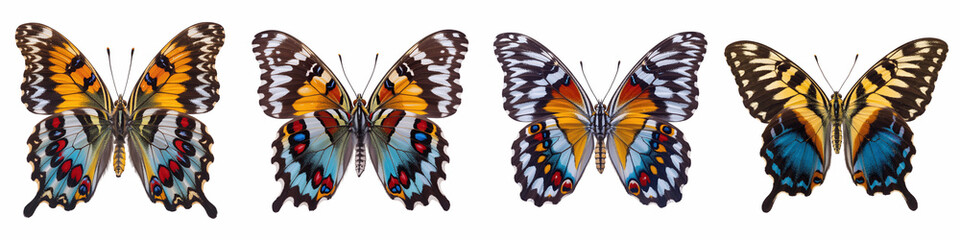 Obraz premium Colorful butterflies on white isolated on transparent background