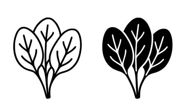 Spinach illustration icon in outline and silhouette style