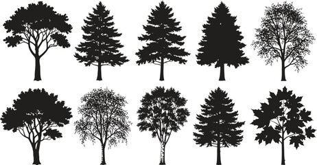 Obraz premium Collection of various tree silhouettes on a white background