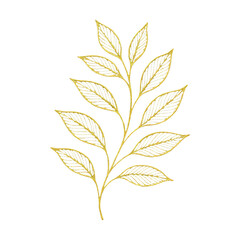 Naklejka premium PNG Elegant golden leaf illustration.