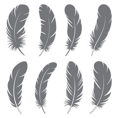 Obraz premium Set of elegant feather silhouettes in black and white