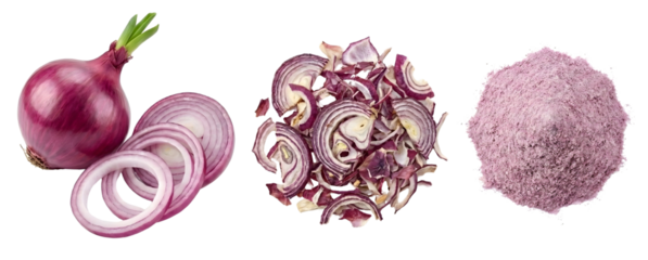 Fresh red onion bulb, slices, dried flakes and powder on isolated background