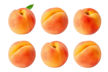 set of various peaches isolated on white or transparent png