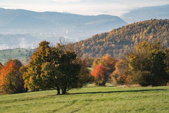 View of autumn's touch paints the landscape with fiery hues, as trees transition from verdant greens to vibrant oranges and reds, Selce, Banska Bystrica Region, Slovakia.