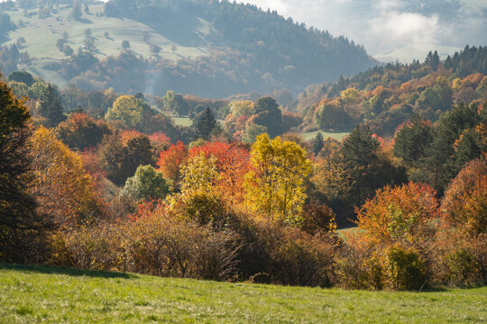 View of autumn unfolds with vibrant hues of red, orange, and yellow trees dotting the landscape under a misty sky, Selce, Banska Bystrica Region, Slovakia.