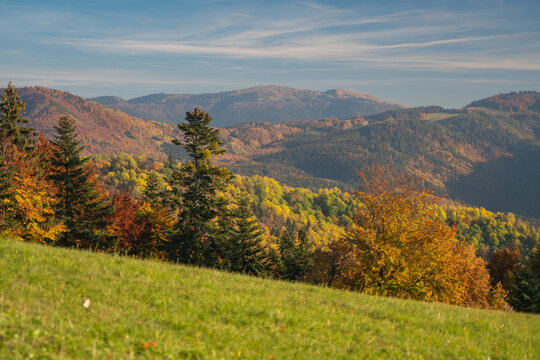 View of the rolling hills painted with vibrant autumnal hues, a tapestry of green grass and colorful trees under a serene sky, Selce, Banska Bystrica Region, Slovakia.