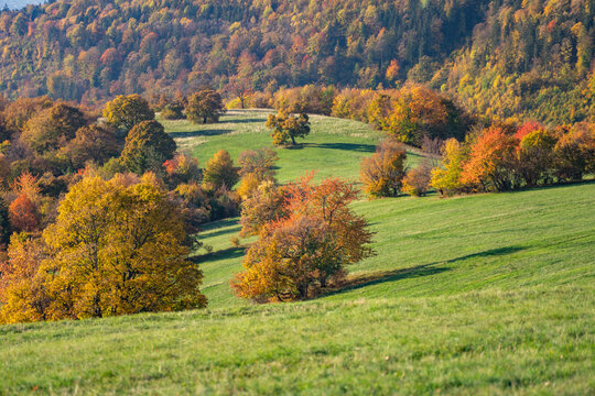 View of autumn's vibrant tapestry unfolds across rolling green hills, a symphony of gold, red, and green hues, painting a picturesque landscape, Selce, Banska Bystrica Region, Slovakia.