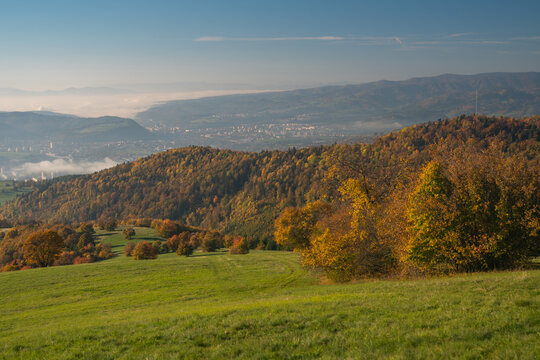 View of golden-leaved trees dotting the vibrant green hillside, as a misty valley cradles a distant cityscape beneath a serene blue sky, Selce, Banska Bystrica Region, Slovakia.