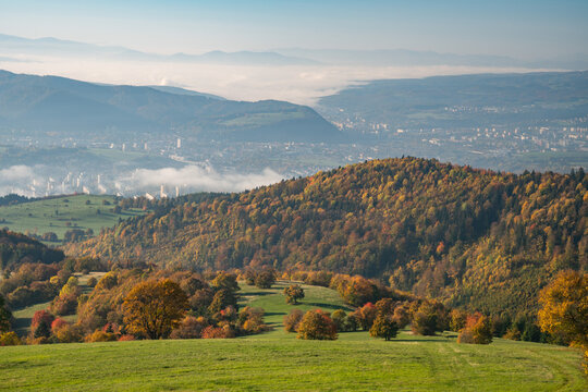 View of a vibrant autumn landscape with trees ablaze in gold and russet hues, overlooking the distant city nestled in the valley, Selce, Banska Bystrica Region, Slovakia.