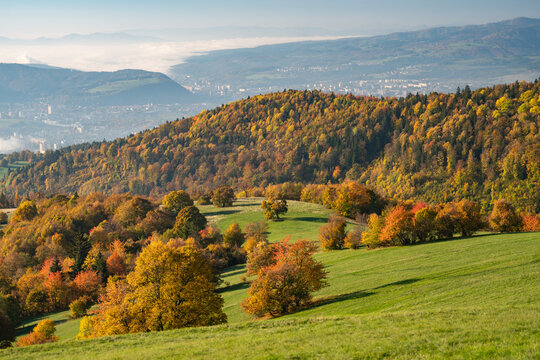 View of autumnal hues paint the rolling hills and verdant meadows under a soft, hazy sky in Selce, Banska Bystrica Region, Slovakia.