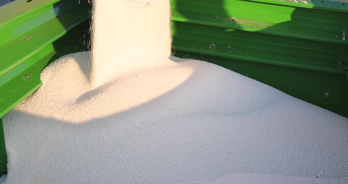 Pouring mineral fertilizer in granules into the fertilizer spreader. Proper growth and development of plants requires a balance of nutrients found in the soil