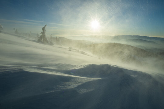 View of a snow-covered landscape, where wind whips across the pristine surface, sculpting the snowdrifts under a radiant winter sun, Nizke Tatry, Slovakia.