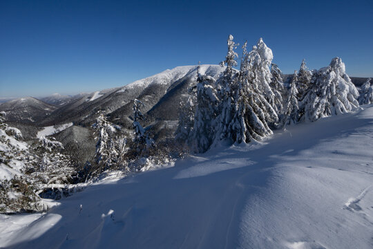 View of snow-laden trees stand sentinel against a backdrop of majestic, snow-dusted mountains under a clear blue sky, Nizke Tatry, Banska Bystrica region, Slovakia.