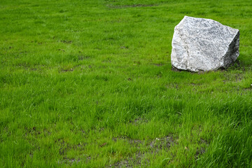 Large stone lying on the green grass