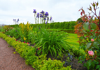 Picturesque landscape with beautiful green lawn on sunny day. Gardening idea
