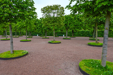 Picturesque landscape with beautiful green lawn on sunny day. Gardening idea