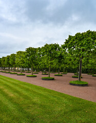 Picturesque landscape with beautiful green lawn on sunny day. Gardening idea