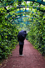 man walking through an arch with green leaves on a rainy day
