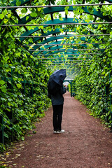 man walking through an arch with green leaves on a rainy day